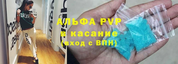 сатива Магас