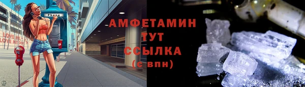 сатива Магас