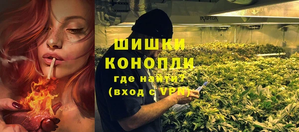 сатива Магас